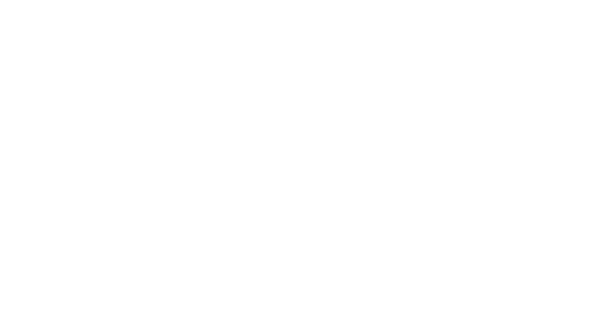 Logo LSN